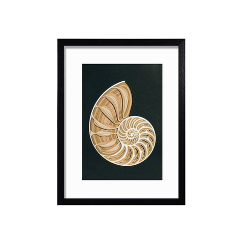 Fibonacci Spiral Art – A Masterpiece of Nature’s Eternal Spiral